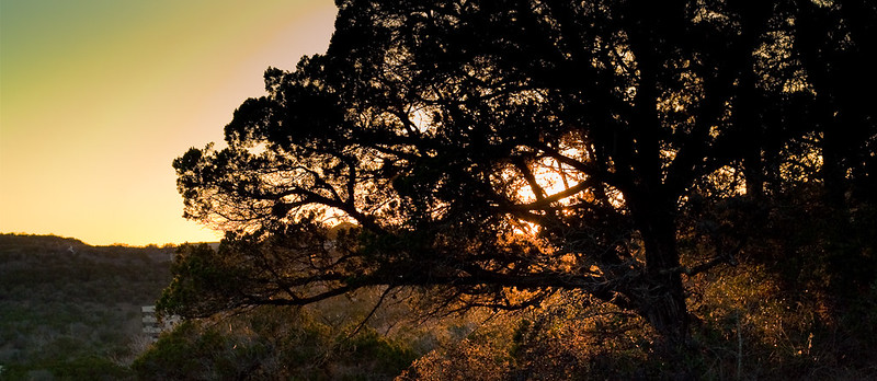 West Lake Hills Texas Wild Basin Wilderness Preserve